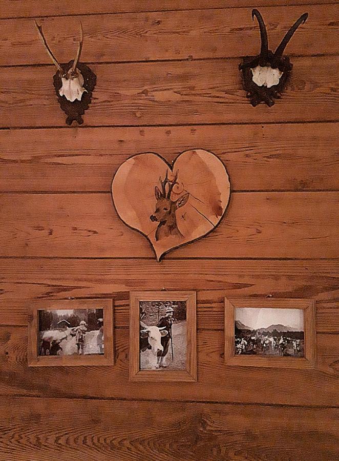 Berggasthof Karntner Alm Hotel Mittenwald Bagian luar foto